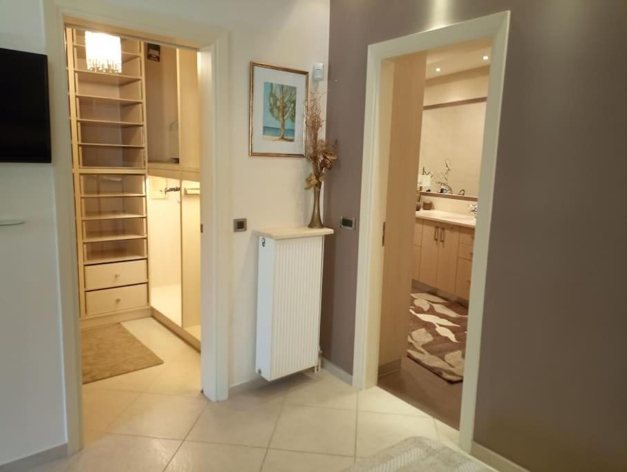 Annitas Luxury Oasis Appartment Athén Kültér fotó