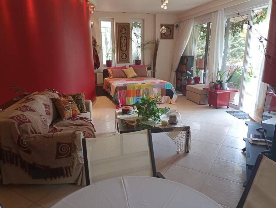 Annitas Luxury Oasis Appartment Athén Kültér fotó