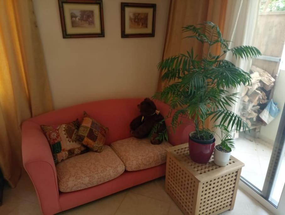 Annitas Luxury Oasis Appartment Athén Kültér fotó